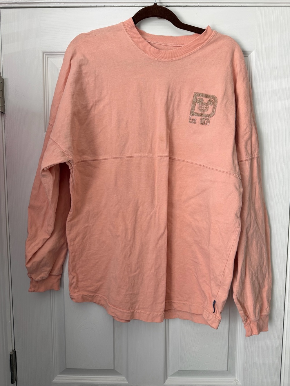 Disney Spirit Jersey